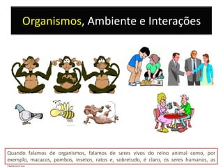 Organismos, Ambiente e Interações




Quando falamos de organismos, falamos de seres vivos do reino animal como, por
exemplo, macacos, pombos, insetos, ratos e, sobretudo, é claro, os seres humanos, as
 