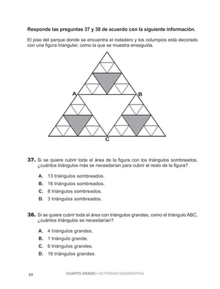 Responde las preguntas 37 y 38 de acuerdo con la siguiente información. 
El piso del parque donde se encuentra el rodadero y los columpios está decorado 
con una figura triangular, como la que se muestra enseguida. 
37. Si se quiere cubrir toda el área de la figura con los triángulos sombreados, 
¿cuántos triángulos más se necesitarían para cubrir el resto de la figura? 
A. 13 triángulos sombreados. 
B. 16 triángulos sombreados. 
C. 8 triángulos sombreados. 
D. 3 triángulos sombreados. 
38. Si se quiere cubrir toda el área con triángulos grandes, como el triángulo ABC, 
¿cuántos triángulos se necesitarían? 
A. 4 triángulos grandes. 
B. 1 triángulo grande. 
C. 6 triángulos grandes. 
D. 16 triángulos grandes. 
28 CUARTO GRADO • ACTIVIDAD DIAGNÓSTICA 
PÁGINA 28 
 