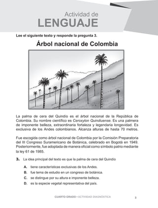 Actividad de 
LENGUAJE 
Lee el siguiente texto y responde la pregunta 3. PÁGINA 3 
Árbol nacional de Colombia 
La palma de cera del Quindío es el árbol nacional de la República de 
Colombia. Su nombre científico es Ceroxylon Quindiuense. Es una palmera 
de imponente belleza, extraordinaria fortaleza y legendaria longevidad. Es 
exclusiva de los Andes colombianos. Alcanza alturas de hasta 70 metros. 
Fue escogida como árbol nacional de Colombia por la Comisión Preparatoria 
del III Congreso Suramericano de Botánica, celebrado en Bogotá en 1949. 
Posteriormente, fue adoptada de manera oficial como símbolo patrio mediante 
la ley 61 de 1985. 
3. La idea principal del texto es que la palma de cera del Quindío 
A. tiene características exclusivas de los Andes. 
B. fue tema de estudio en un congreso de botánica. 
C. se distingue por su altura e imponente belleza. 
D. es la especie vegetal representativa del país. 
CUARTO GRADO • ACTIVIDAD DIAGNÓSTICA 3 
 