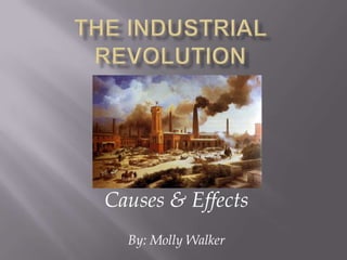 Causes & Effects
  By: Molly Walker
 