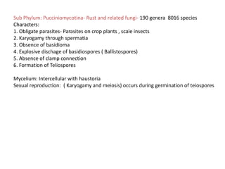 P Basidiomycota.pptx