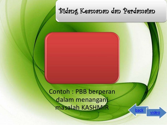 Organisasi Internasional (PBB)