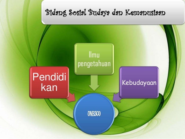 Organisasi Internasional (PBB)