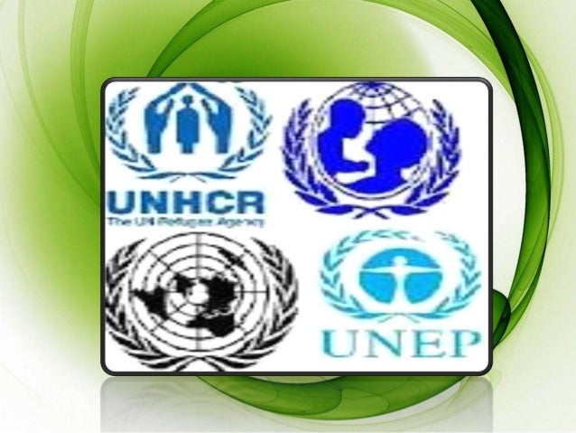 Organisasi Internasional (PBB)