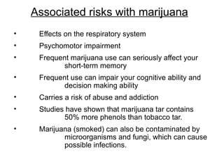Associated risks with marijuana
• Effects on the respiratory system
• Psychomotor impairment
• Frequent marijuana use can seriously affect your
short-term memory
• Frequent use can impair your cognitive ability and
decision making ability
• Carries a risk of abuse and addiction
• Studies have shown that marijuana tar contains
50% more phenols than tobacco tar.
• Marijuana (smoked) can also be contaminated by
microorganisms and fungi, which can cause
possible infections.
 