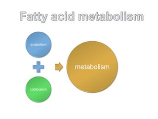 anabolism
catabolism
metabolism
 