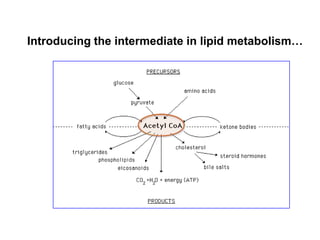 Introducing the intermediate in lipid metabolism…
 
