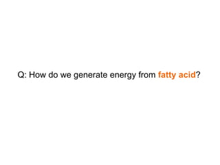 Q: How do we generate energy from fatty acid?
 