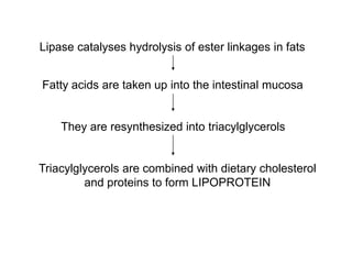 Triacylglycerols are combined with dietary cholesterol
and proteins to form LIPOPROTEIN
Lipase catalyses hydrolysis of ester linkages in fats
Fatty acids are taken up into the intestinal mucosa
They are resynthesized into triacylglycerols
 
