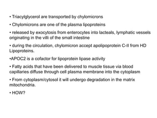 • Triacylglycerol are transported by chylomicrons
• Chylomicrons are one of the plasma lipoproteins
• released by exocytosis from enterocytes into lacteals, lymphatic vessels
originating in the villi of the small intestine
• during the circulation, chylomicron accept apolipoprotein C-II from HD
Lipoproteins.
•APOC2 is a cofactor for lipoprotein lipase activity
• Fatty acids that have been delivered to muscle tissue via blood
capillaries diffuse through cell plasma membrane into the cytoplasm
• From cytoplasm/cytosol it will undergo degradation in the matrix
mitochondria.
• HOW?
 