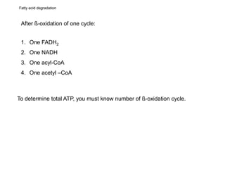 After ß-oxidation of one cycle:
1. One FADH2
2. One NADH
3. One acyl-CoA
4. One acetyl –CoA
To determine total ATP, you must know number of ß-oxidation cycle.
Fatty acid degradation
 