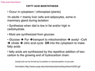 FATTY ACID BIOSYNTHESIS
• Occur in cytoplasm / chloroplast (plants)
•In adults = mainly liver cells and adipocytes, some in
mammary gland during lactation
• Synthesize when diet is low in fat and/or high in
carbohydrate.
• Most are synthesized from glucose:
• Glucose  Pyr transport to mitochondrion  acetyl –CoA
 citrate  citric acid cycle OR into the cytoplasm to make
fatty acids
• fatty acids are synthesized by the repetitive addition of two-
carbon to the growing end of hydrocarbon chain.
Fatty acids biosynthesis
Acetyl-CoA can be formed by ß-oxidation or decarboxylation of pyruvate
Animation:http://www.uwsp.edu/chemistry/tzamis/fasynthanim2003.gif
 