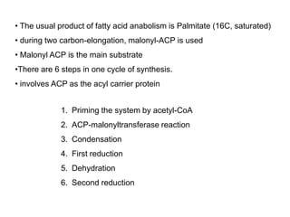 • The usual product of fatty acid anabolism is Palmitate (16C, saturated)
• during two carbon-elongation, malonyl-ACP is used
• Malonyl ACP is the main substrate
•There are 6 steps in one cycle of synthesis.
• involves ACP as the acyl carrier protein
1. Priming the system by acetyl-CoA
2. ACP-malonyltransferase reaction
3. Condensation
4. First reduction
5. Dehydration
6. Second reduction
 