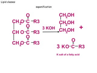 Lipid classes
saponification
CH2
CH
CH2
O
O
O C
O
C
O
C
O
R3
R3
R3
3 KOH
CH2
CH
CH2
OH
OH
OH +
KO C
O
R3
K salt of a fatty acid
3
2
 