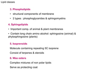 Lipid classes
3. Phospholipids
• structural components of membrane
• 2 types : phosphoglycerides & sphingomyelins
4. Sphingolipids
• Important comp. of animal & plant membranes
• Contain long chain amino alcohol: sphingosine (animal) &
phytosphingosine (plants)
5. Isoprenoids
Molecule containing repeating 5C isoprene
Consist of terpenes & steroids
6. Wax esters
Complex mixtures of non polar lipids
Serve as protecting coat
 
