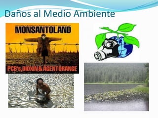 Daños al Medio Ambiente
 