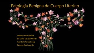 Patología Benigna de Cuerpo Uterino 
Cabrera Duran Natalie. 
De Gante Cid José Alberto. 
Avendaño Torres Donaji 
Pacheco Ruiz Eduardo 
 