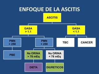 ENFOQUE DE LA ASCITIS
ASCITIS
GASA
> 1.1
PMN
> 250
PBE
PMN
< 250
Na ORINA
> 78 mEq
DIETA
Na ORINA
< 78 mEq
DIURETICOS
GASA
< 1.1
TBC CANCER
 