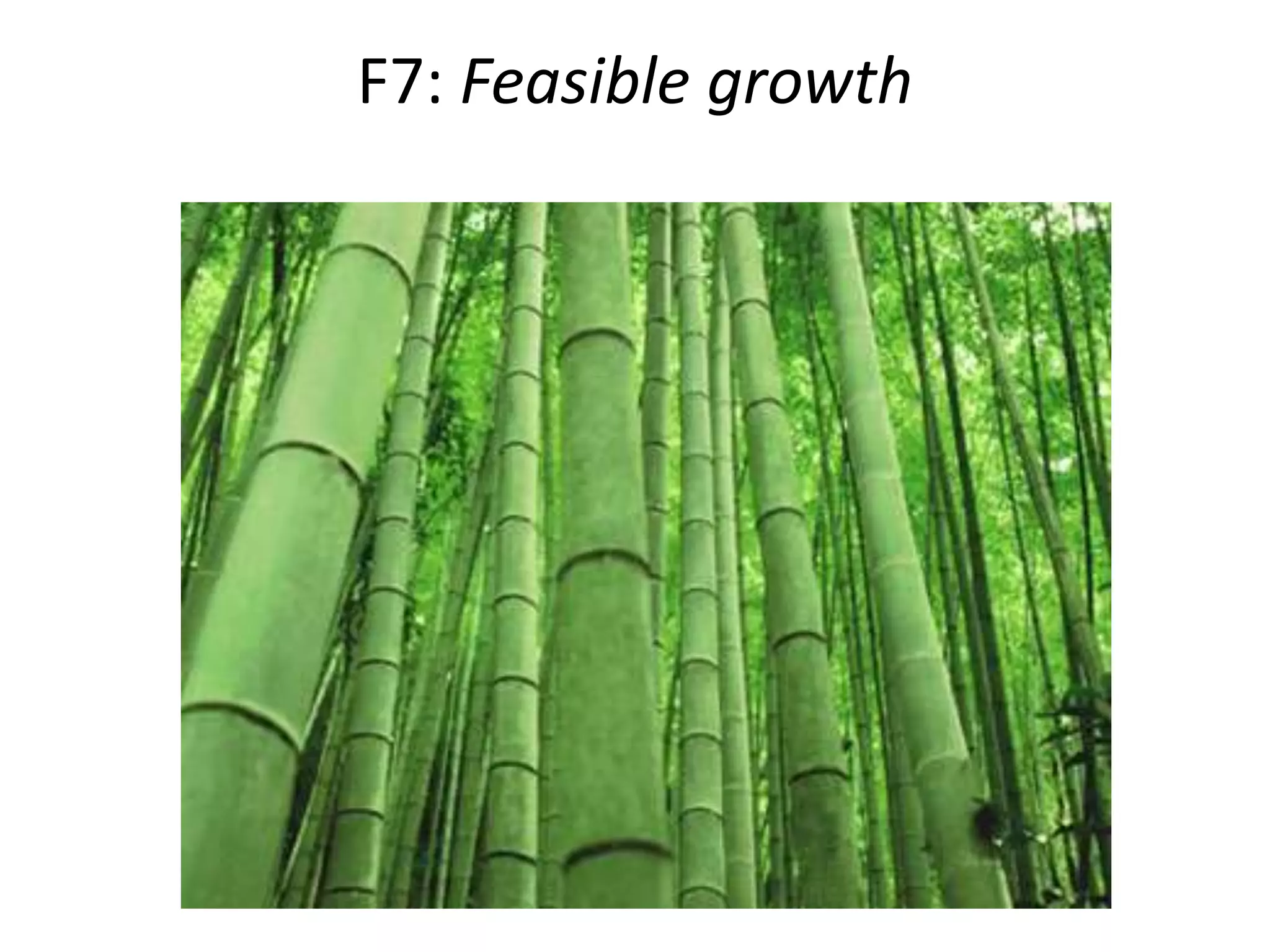 F5: Flair, Flow & FlexibilityIt is not just teams and teamwork that keep these organizations aloft; it is the vibrant nature of the teamwork itself. Organizations that perform beyond expectations have cultures of creativity and risk-taking. They allow and encourage workers to have freedom and flexibility to innovate and play. 