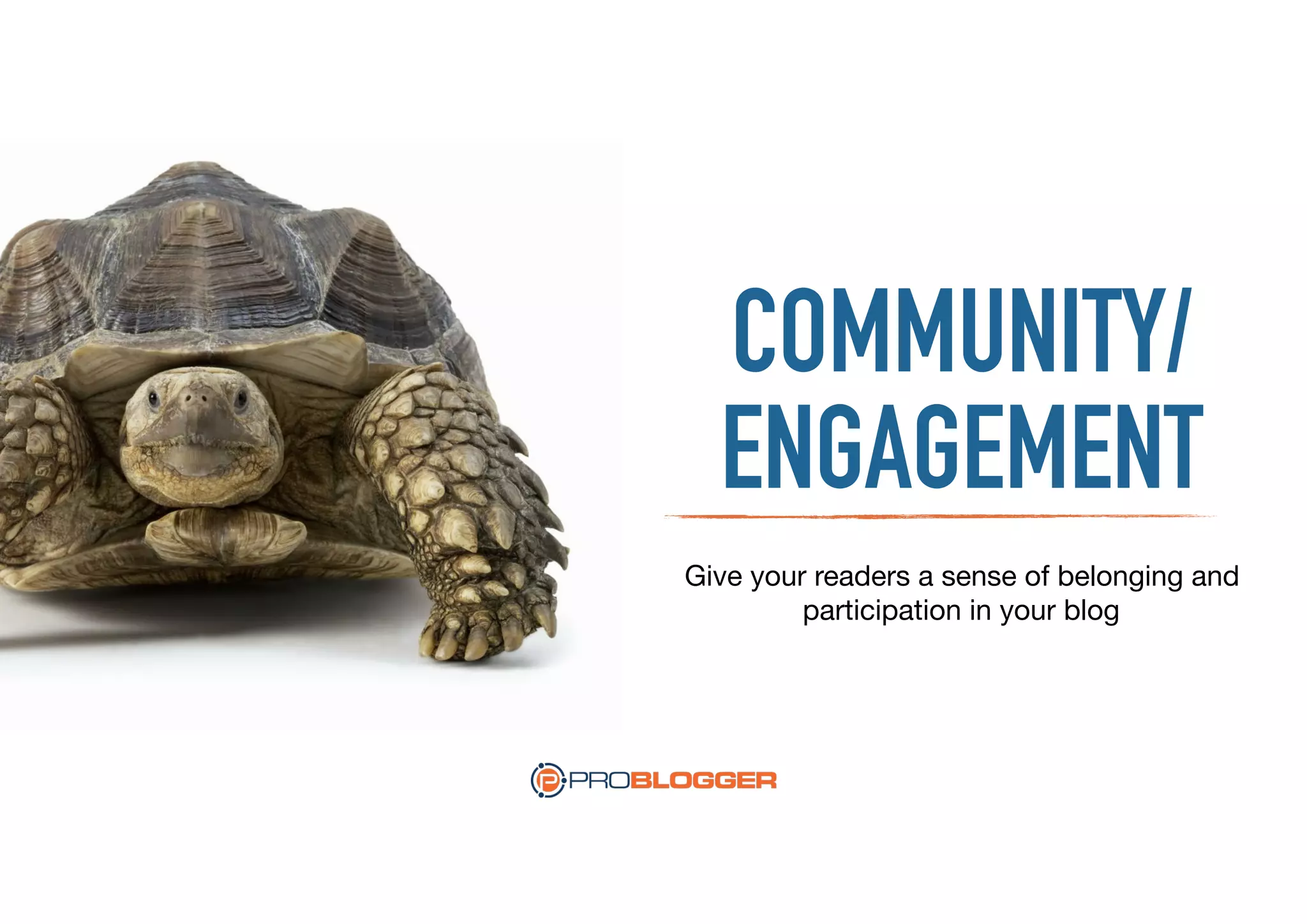 COMMUNITY/
ENGAGEMENT
Give your readers a sense of belonging and
participation in your blog
 