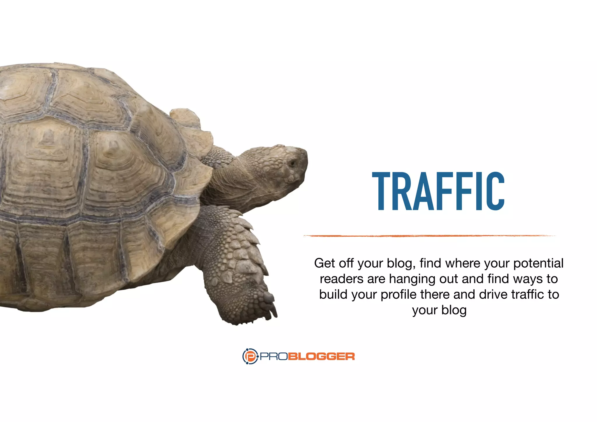 TRAFFIC
Get oﬀ your blog, ﬁnd where your potential
readers are hanging out and ﬁnd ways to
build your proﬁle there and drive traﬃc to
your blog
 
