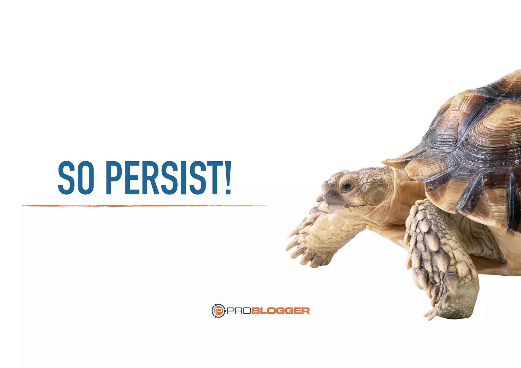 SO PERSIST!
 