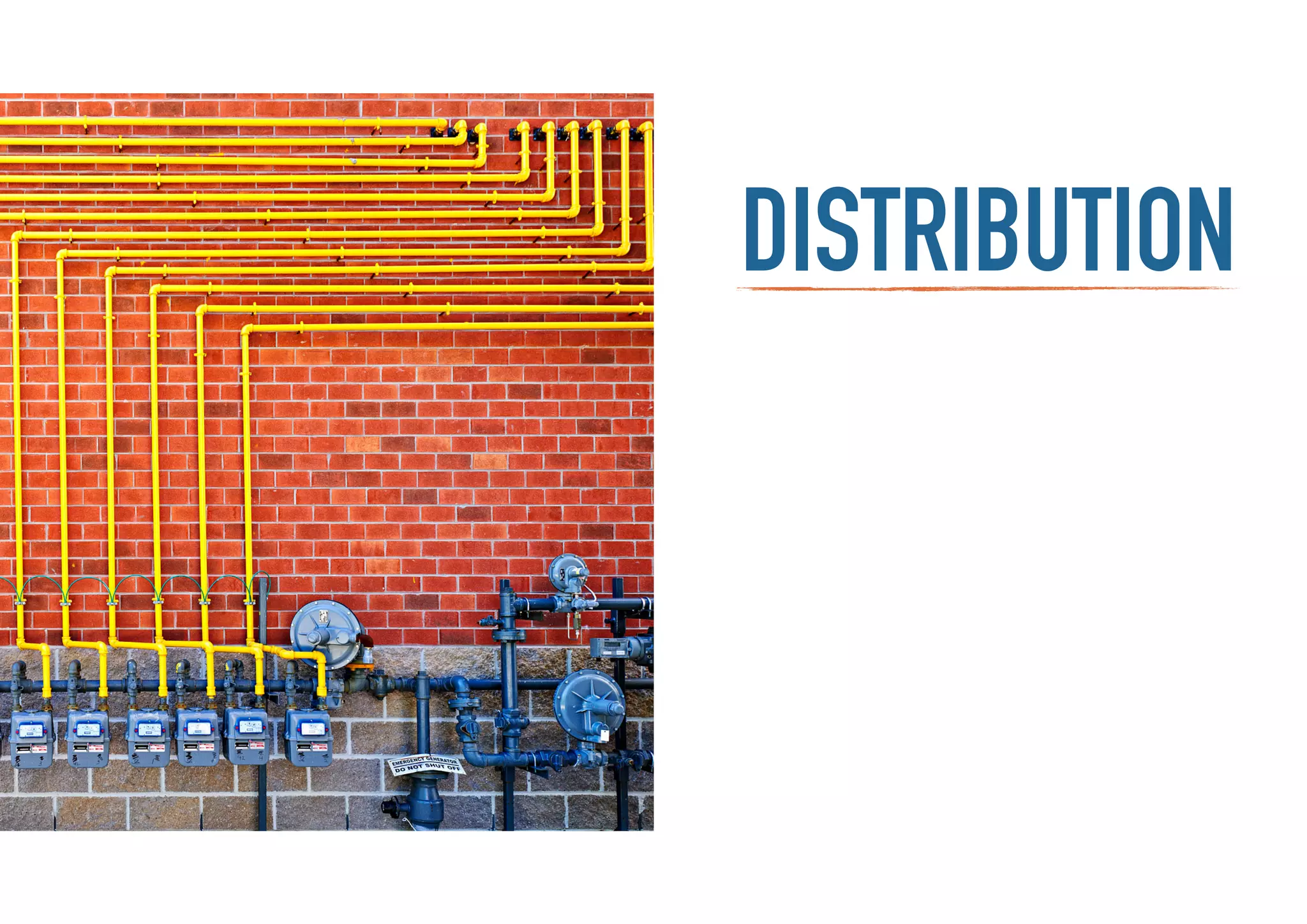 distributionDISTRIBUTION
 