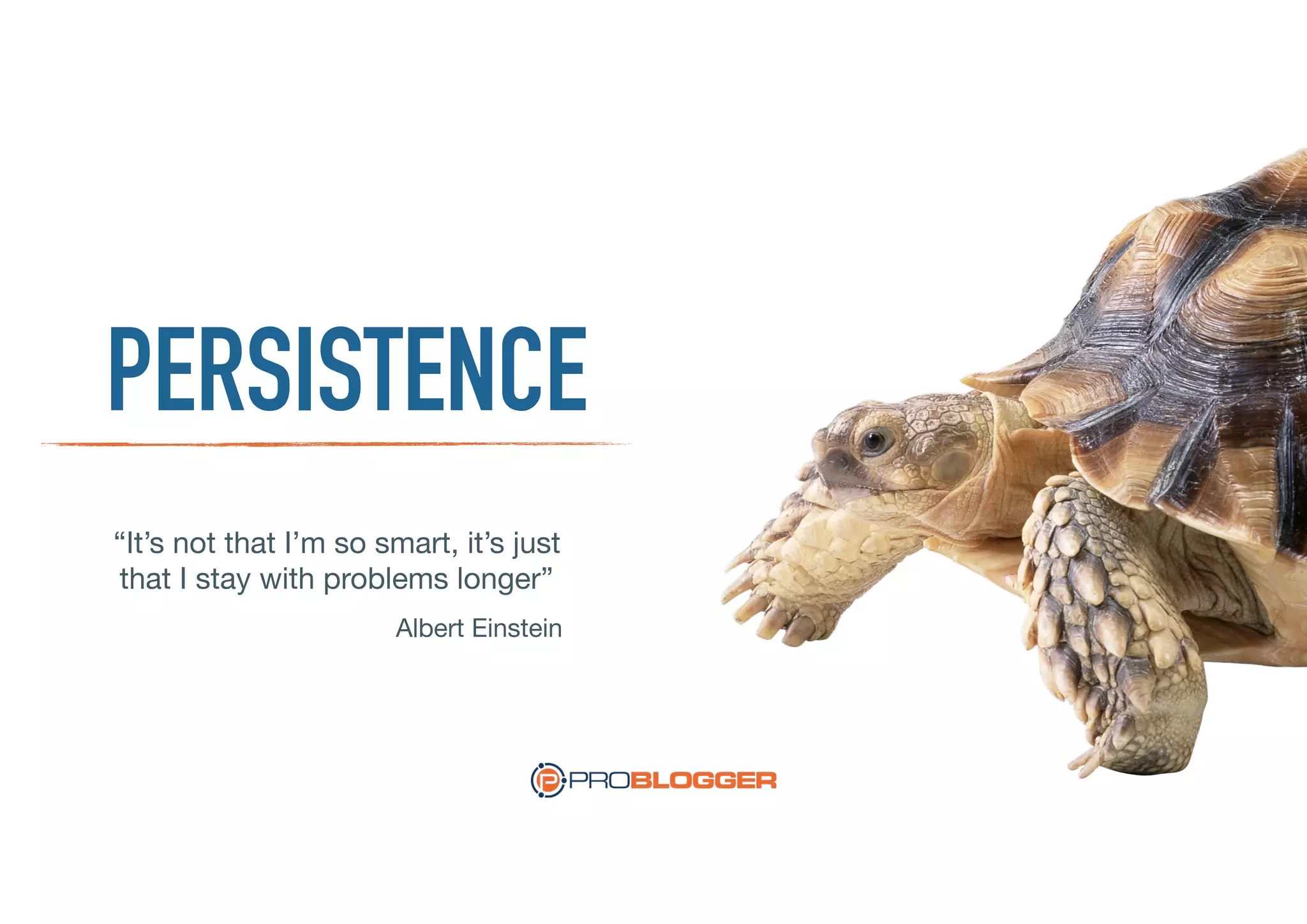PERSISTENCE
“It’s not that I’m so smart, it’s just 

that I stay with problems longer”
Albert Einstein
 