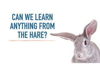 CAN WE LEARN
ANYTHING FROM
THE HARE?
 