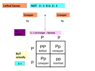 Genetics Lecture: Lethal Genes, Pleiotropy, Penetrance, Expressivity ...