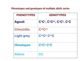 Genetics Lecture: Lethal Genes, Pleiotropy, Penetrance, Expressivity ...