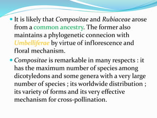  It is likely that Compositae and Rubiaceae arose
from a common ancestry. The former also
maintains a phylogenetic connecion with
Umbelliferae by virtue of inflorescence and
floral mechanism.
 Compositae is remarkable in many respects : it
has the maximum number of species among
dicotyledons and some genera with a very large
number of species ; its worldwide distribution ;
its variety of forms and its very effective
mechanism for cross-pollination.
 