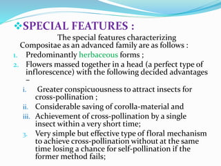 SPECIAL FEATURES :
The special features characterizing
Compositae as an advanced family are as follows :
1. Predominantly herbaceous forms ;
2. Flowers massed together in a head (a perfect type of
inflorescence) with the following decided advantages
–
i. Greater conspicuousness to attract insects for
cross-pollination ;
ii. Considerable saving of corolla-material and
iii. Achievement of cross-pollination by a single
insect within a very short time;
3. Very simple but effective type of floral mechanism
to achieve cross-pollination without at the same
time losing a chance for self-pollination if the
former method fails;
 