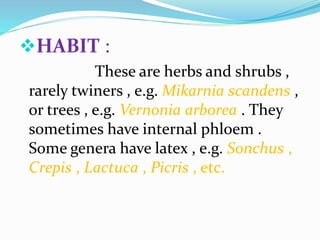 HABIT :
These are herbs and shrubs ,
rarely twiners , e.g. Mikarnia scandens ,
or trees , e.g. Vernonia arborea . They
sometimes have internal phloem .
Some genera have latex , e.g. Sonchus ,
Crepis , Lactuca , Picris , etc.
 