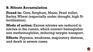 Nitrate Rumen PBG presentation on anti nutritional factors in fodder | PPTX