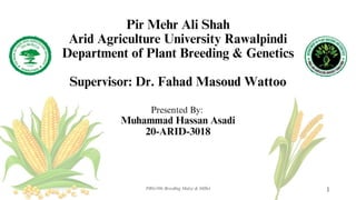 Pir Mehr Ali Shah
Arid Agriculture University Rawalpindi
Department of Plant Breeding & Genetics
Supervisor: Dr. Fahad Masoud Wattoo
Presented By:
Muhammad Hassan Asadi
20-ARID-3018
PBG-506 Breeding Maize & Millet 1
 