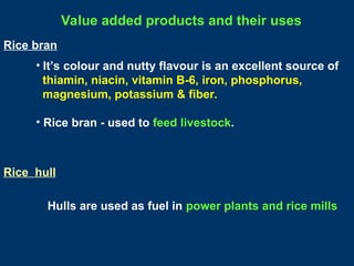 PBG 101 - Rice - PPT 1 - Agri Junction.ppt