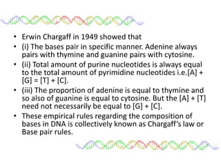 • Erwin Chargaff in 1949 showed that
• (i) The bases pair in specific manner. Adenine always
pairs with thymine and guanine pairs with cytosine.
• (ii) Total amount of purine nucleotides is always equal
to the total amount of pyrimidine nucleotides i.e.[A] +
[G] = [T] + [C].
• (iii) The proportion of adenine is equal to thymine and
so also of guanine is equal to cytosine. But the [A] + [T]
need not necessarily be equal to [G] + [C].
• These empirical rules regarding the composition of
bases in DNA is collectively known as Chargaff’s law or
Base pair rules.
 
