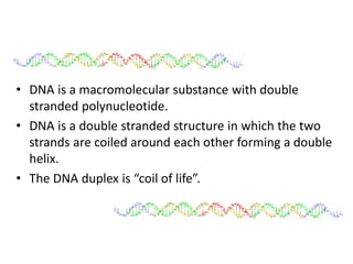 Double 2024 helical structure