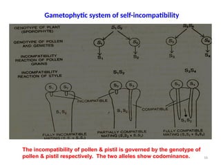 Pollen Incompatibility PBG 301 Lec 6 Self Incompatibility.pptx praveen | PPT