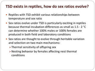 TSD exists in reptiles, how do sex ratios evolve?
 Reptiles with TSD exhibit various relationships between
temperature and sex ratio
 Sex ratios evolve under TSD is particularly exciting in reptiles
because thermal incubation differences as small as 1.5 - 2 °C
can determine whether 100% males or 100% females are
produced in both field and laboratory conditions
 Sex ratios are thought to evolve through heritable variation
and selection on two main mechanisms:
Thermal sensitivity of offspring sex
Nesting behavior by females affecting nest thermal
conditions
 