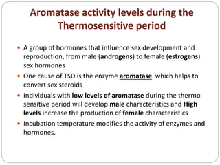 Aromatase activity levels during the
Thermosensitive period
 A group of hormones that influence sex development and
reproduction, from male (androgens) to female (estrogens)
sex hormones
 One cause of TSD is the enzyme aromatase which helps to
convert sex steroids
 Individuals with low levels of aromatase during the thermo
sensitive period will develop male characteristics and High
levels increase the production of female characteristics
 Incubation temperature modifies the activity of enzymes and
hormones.
 