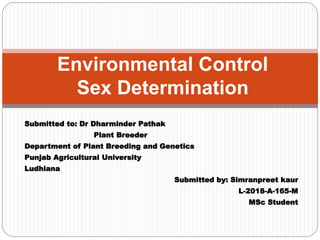 Submitted to: Dr Dharminder Pathak
Plant Breeder
Department of Plant Breeding and Genetics
Punjab Agricultural University
Ludhiana
Submitted by: Simranpreet kaur
L-2018-A-165-M
MSc Student
Environmental Control
Sex Determination
 