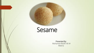 Sesame
Presented By:
Mohamed Basith Ali M
Meena
 