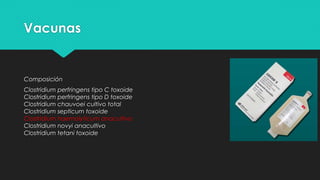 Vacunas
Composición
Clostridium perfringens tipo C toxoide
Clostridium perfringens tipo D toxoide
Clostridium chauvoei cultivo total
Clostridium septicum toxoide
Clostridium haemolyticum anacultivo
Clostridium novyi anacultivo
Clostridium tetani toxoide
 