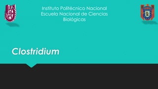 Clostridium
Instituto Politécnico Nacional
Escuela Nacional de Ciencias
Biológicas
 