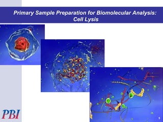 Pressure Cycling Technology (PCT)Primary Sample Preparation for Biomolecular Analysis:
Cell Lysis
5
 