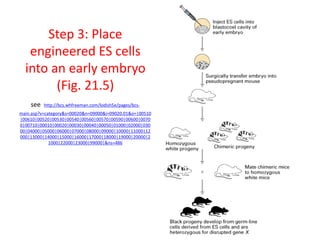 Engineered Breeding PBIO4500 Animal Genetic Engineering.ppt