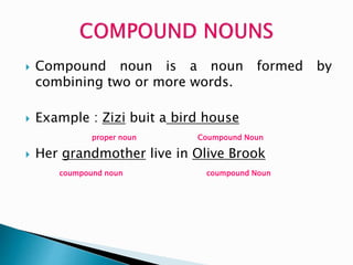 Pbis4114 nouns | PPTX