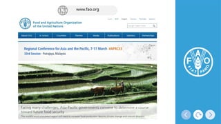 www.fao.org
 